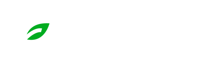 Landscape Lighting Experts in Georgia | Reliant Landscaping