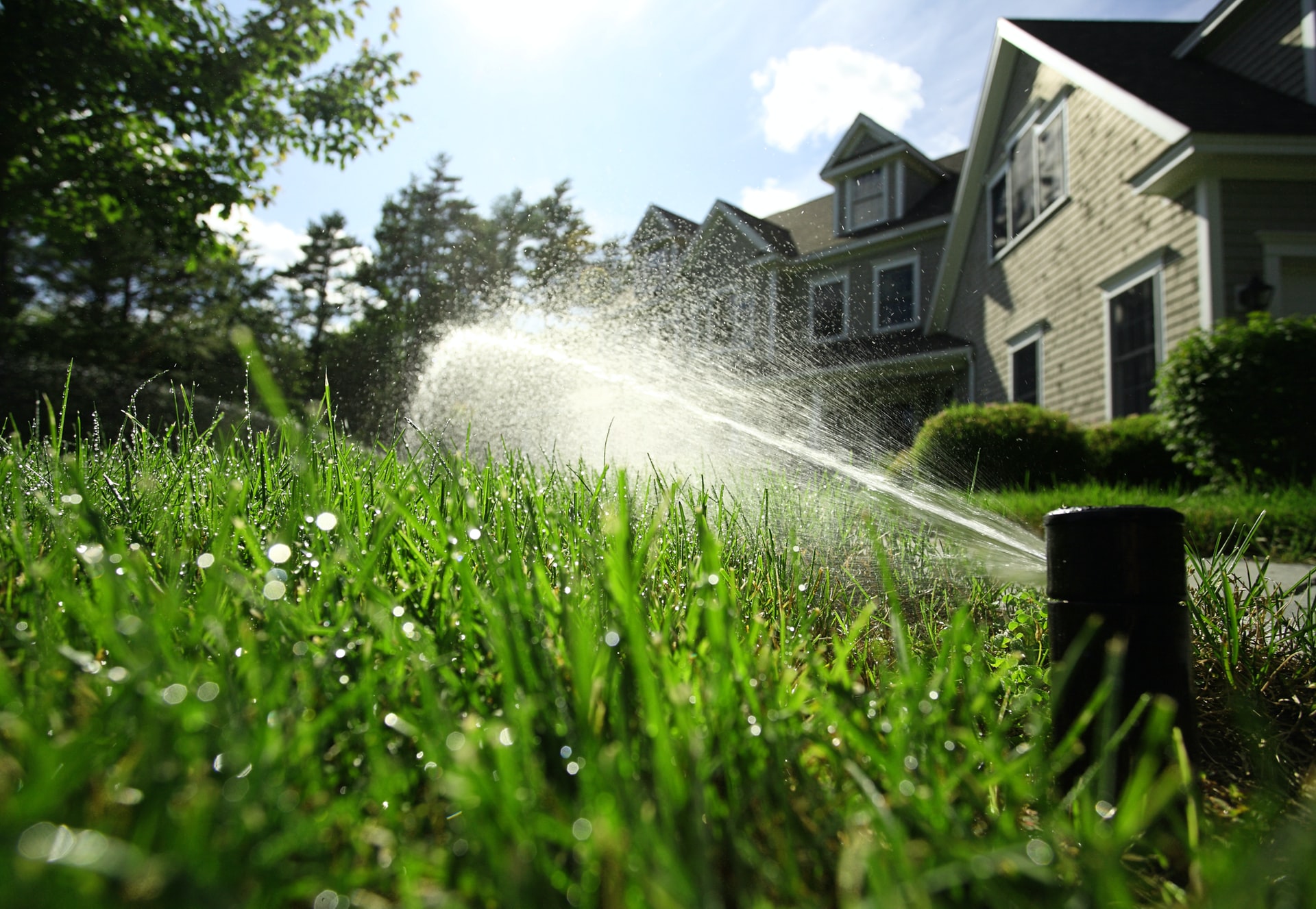 Irrigation System Installation